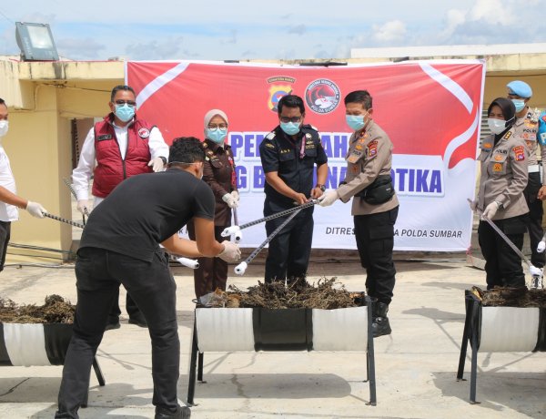 Polda Sumbar Musnahkan 25,4 Kg Ganja, Perkuat Transparansi dan Perang Melawan Narkoba